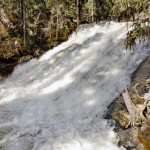 Cherry Creek Falls celebration May 26
