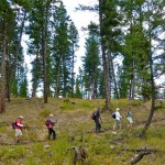 Kimberley and Area Trails Management Plan