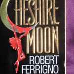 This novel is dark, but not mean
