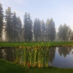 22nd annual Community Charity Golf Tournament