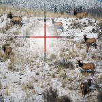 Changes to elk hunting season in East Kootenay