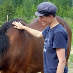 Horses – emotional mirrors and healers