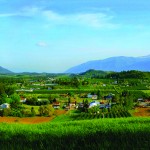Creative education for grassroots agriculture