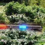 Trafficking, production charges follow search of Wardner property
