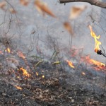Fall burns around the corner