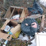 Illegal dumping in Meadowbrook