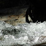 Park official opening postponed