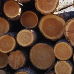 USW ratifies five-year agreement with IFLRA companies
