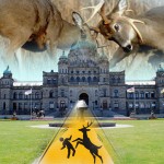 Dear Victoria, please deal with your deer