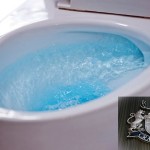 Low flow toilet rebate program back