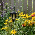 6 Ways to landscape without breaking the budget