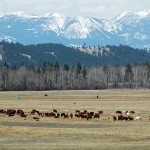 Committee named to revitalize ALR/ALC