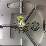 Popularity of fee-based accounts and benefits to investors