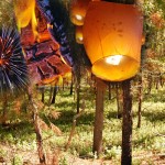 Open fires restriction coming for Southeast Fire Centre