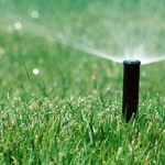 City reducing water use