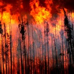 Fire Update – Whiteswan Area Fire