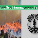 Village mayor provides fires update