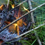 Open fires remain prohibited
