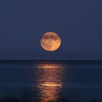 Horoscope for the Week beginning Sept. 5