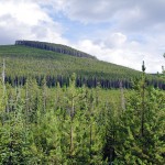 Changes made to how timber partitions enforced