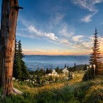 Winners of Look Outside photo contest