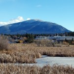 Ice forming; city urges caution around waterways