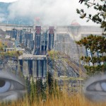 Govt. decisions can have devastating consequences