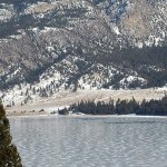 Ecosystem restoration planned for Lot 48