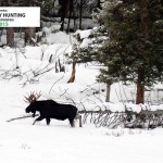 BCWF fears cut in wildlife allocation