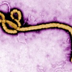 Preliminary tests negative for Ebola