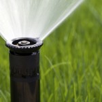 Phase one watering restrictions begin