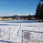 City still eyes Muriel Baxter field for off-leash dog park