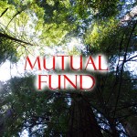 Mutual funds and key considerations for investors