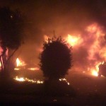 City encourages FireSmart Program