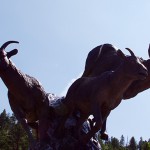 Radium Chamber events upcoming