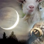 Horoscope for the week beginning Feb. 27