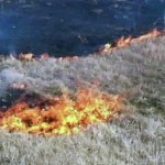 Human-caused fires raise concerns