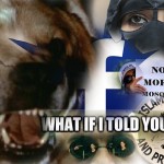 The social spread of hatred