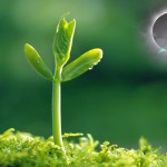 Horoscope for the week beginning March 27