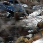 Increased turbidity triggers Water Quality Advisory