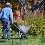 In defense of Cominco Gardens