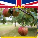 Democracy threatened by changes in Bill 11: SD5