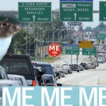 Time to eradicate border rat weasels