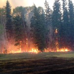 Campfires, open fires, fireworks banned across B.C.