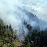 Wildfires update