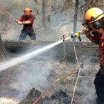 Record application numbers for BC Wildfire Service
