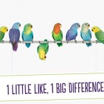 TELUS like-fest to benefit community foundation