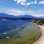 More resources needed to stop invasive species
