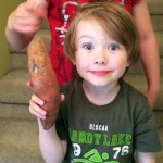 The Yam