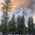 88 new wildfires in last six days